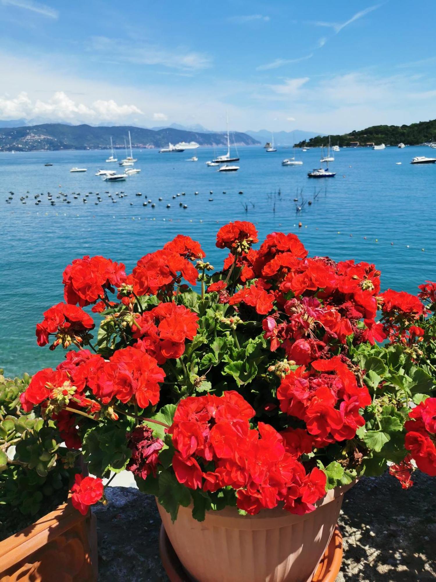 B&B La Palafitta Πόρτο Βένερε Εξωτερικό φωτογραφία